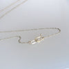 Long Concretion and Horn Necklace